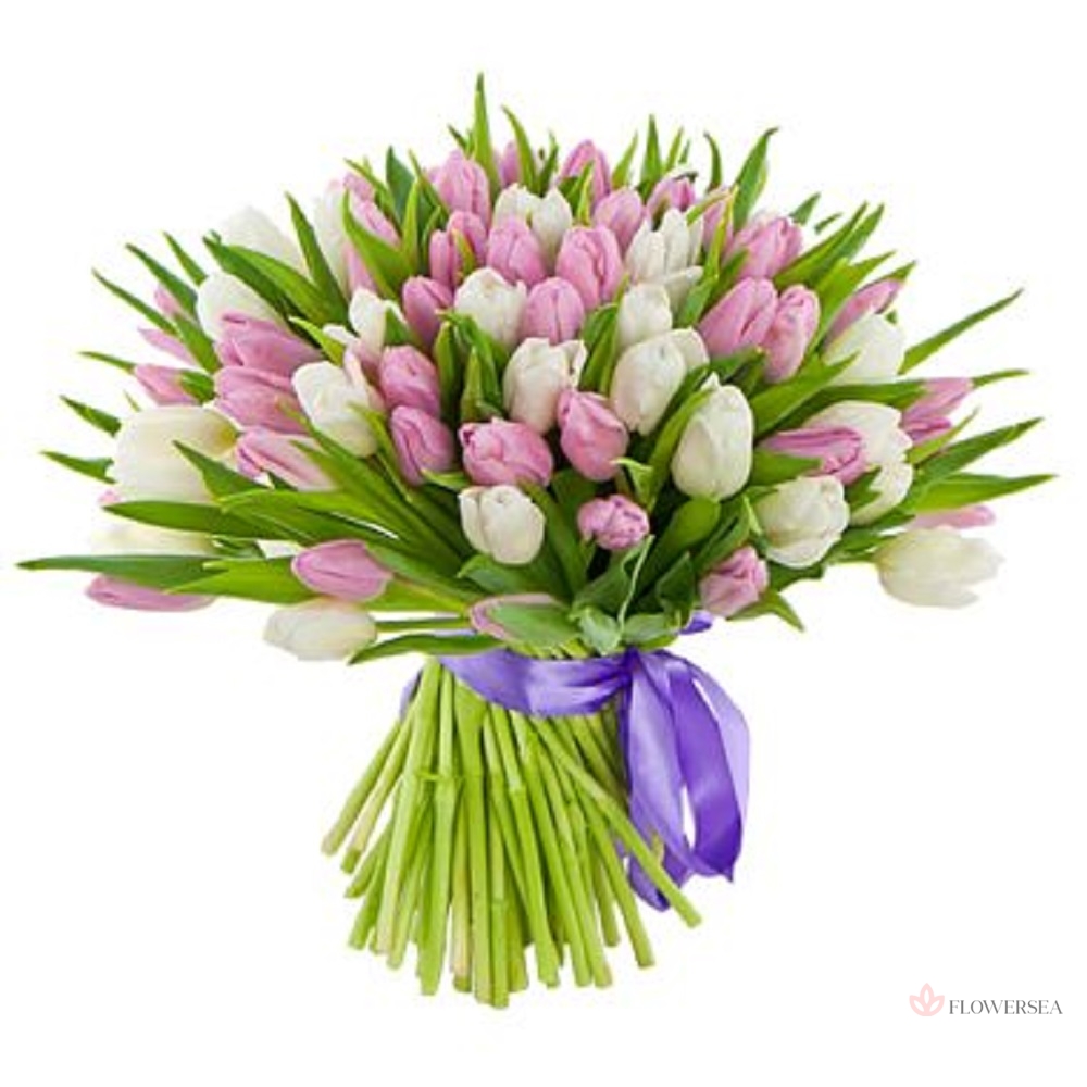 101 ��������� � ����� �������