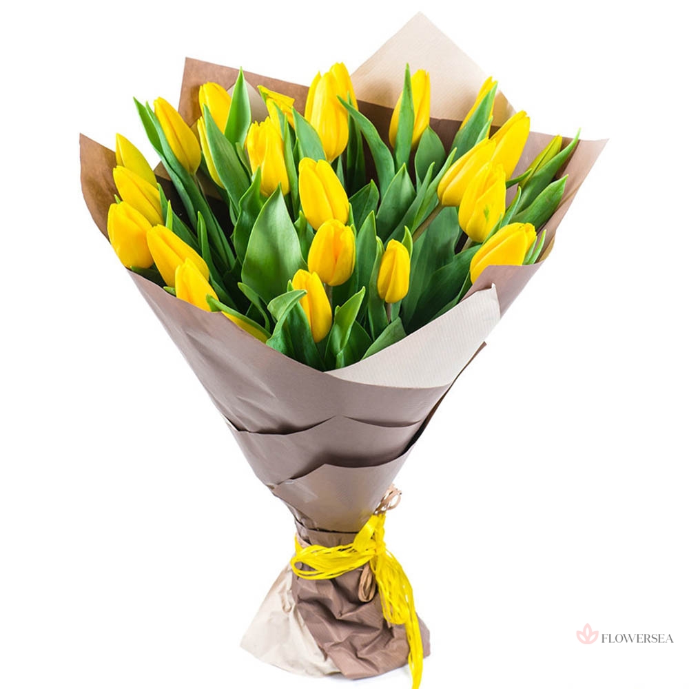 25 ������ ��������� � �����