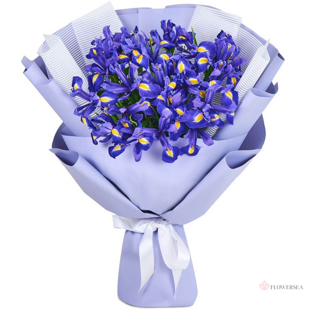 19 ����� ����� � ��������