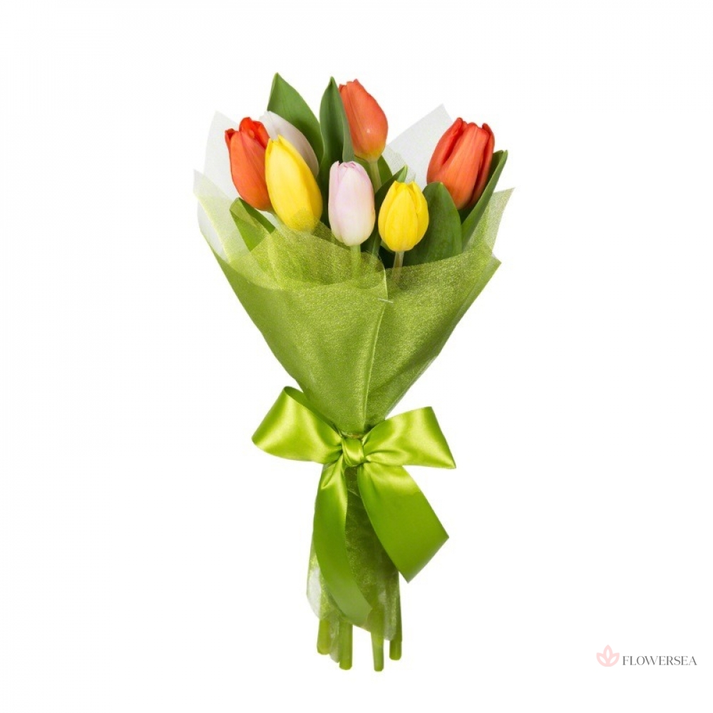 7 �������������� ���������