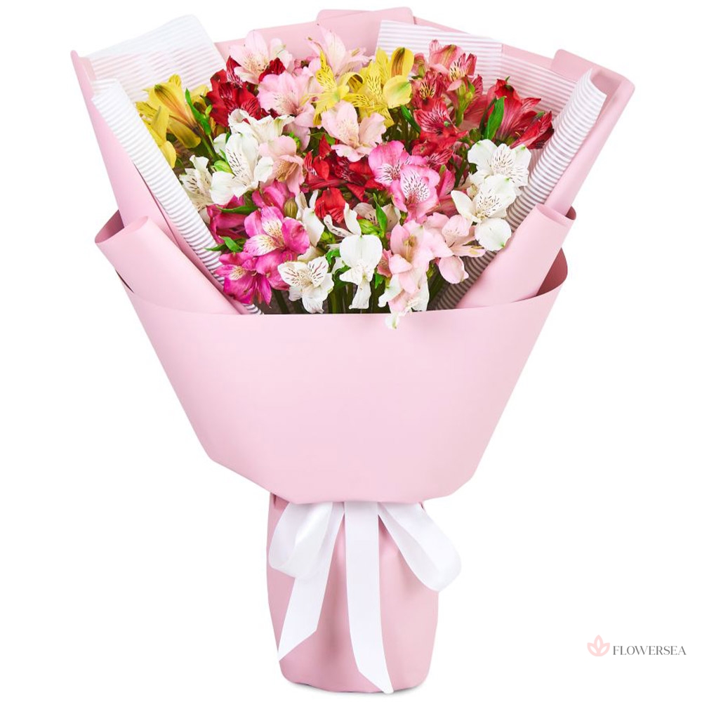 11 ����������� � ��������