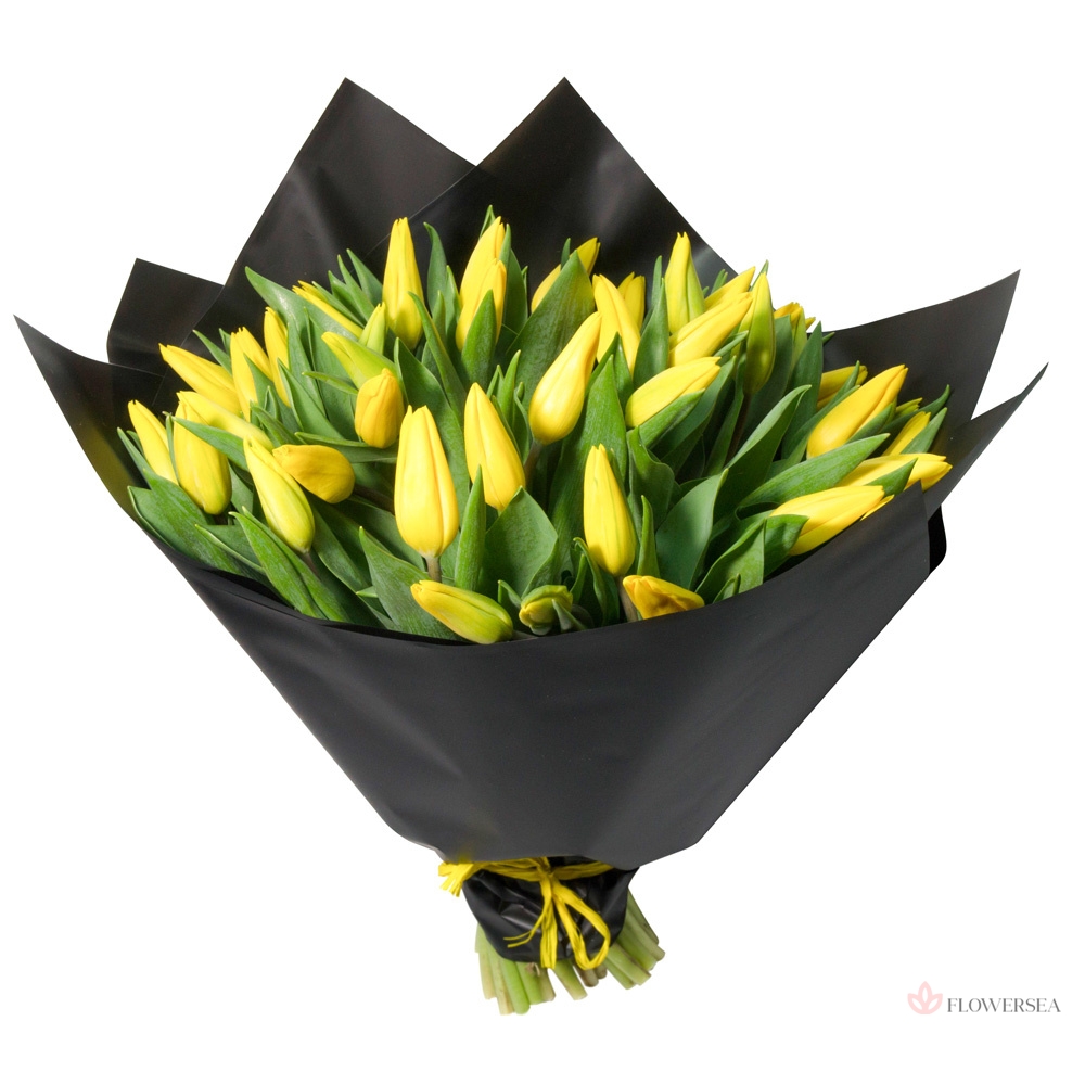 19 ������ ���������