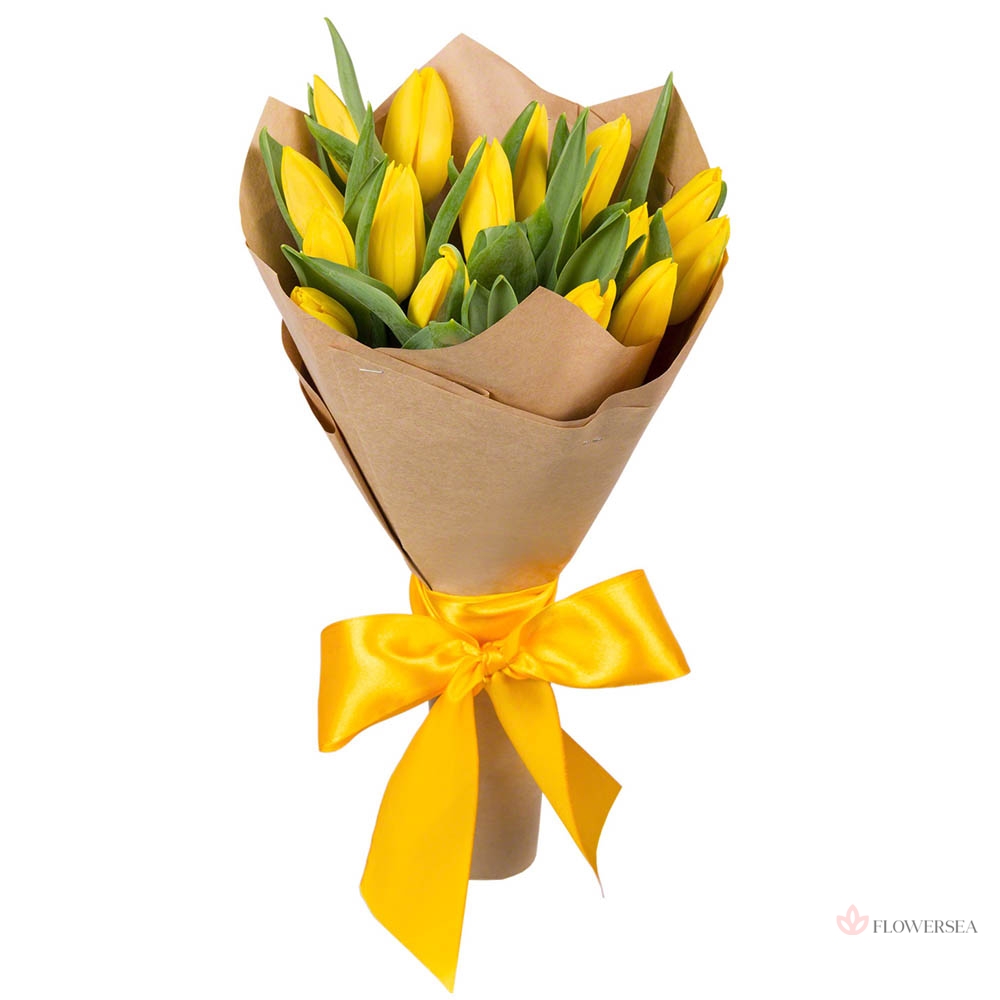 15 ������ ��������� � ��������