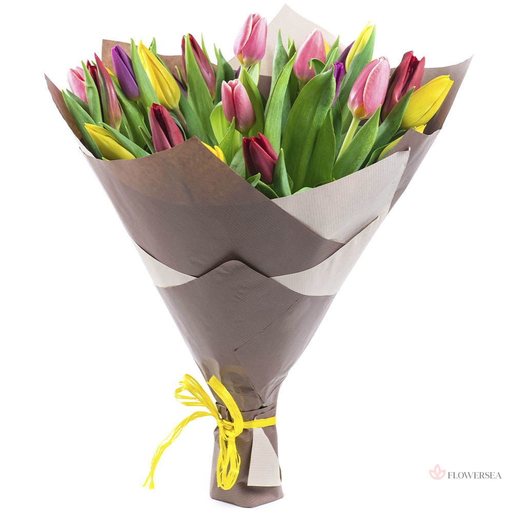 19 �������������� ��������� � ��������