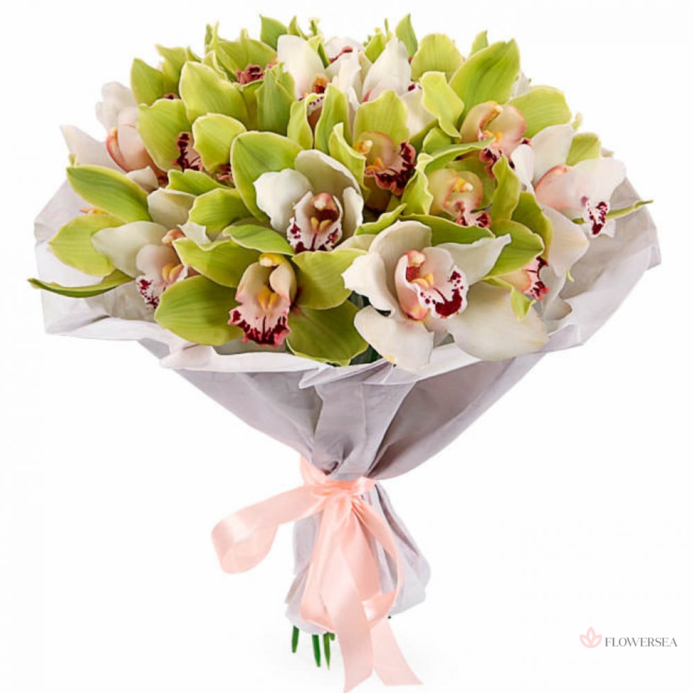 19 ������� � ��������