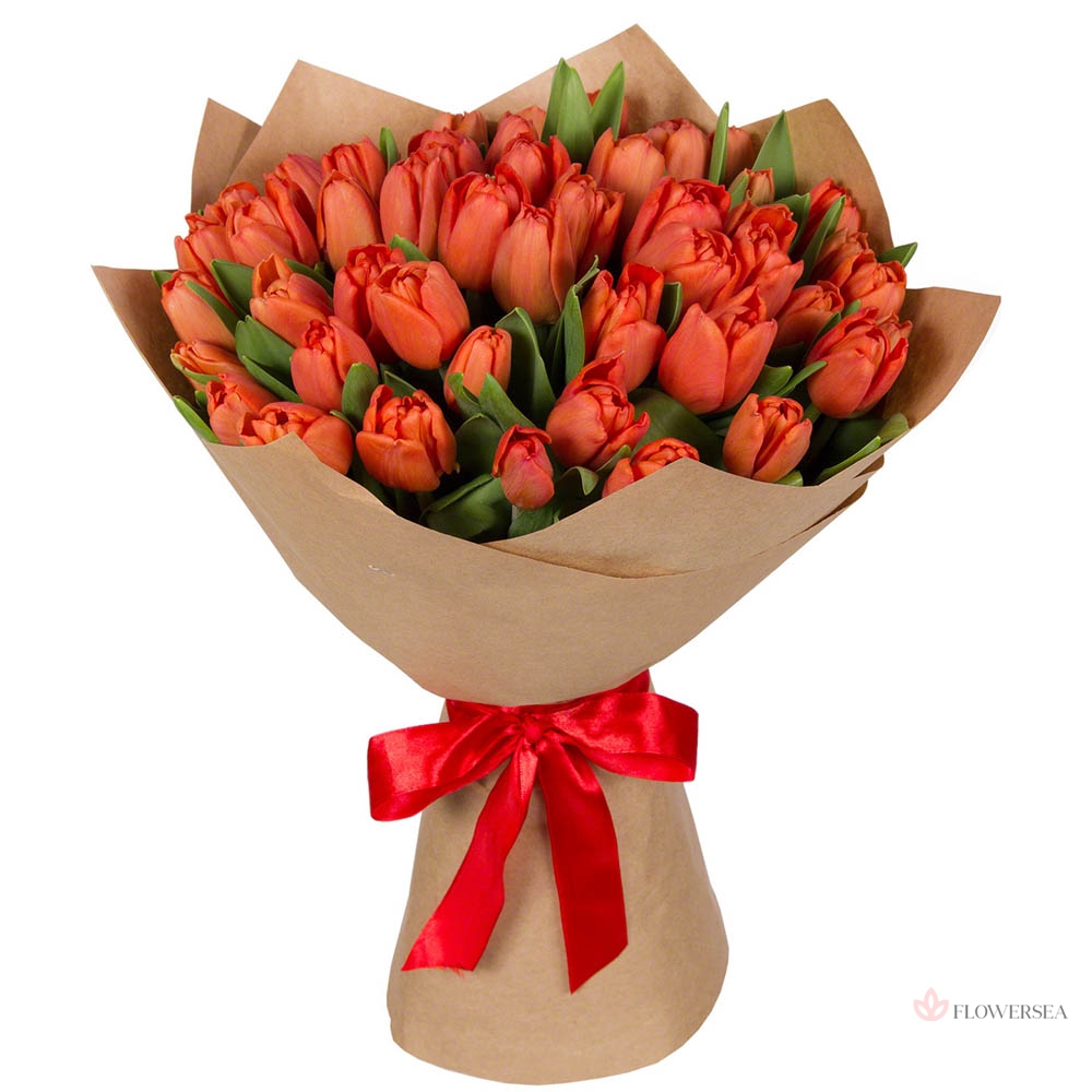 49 ��������� ��������� � ��������