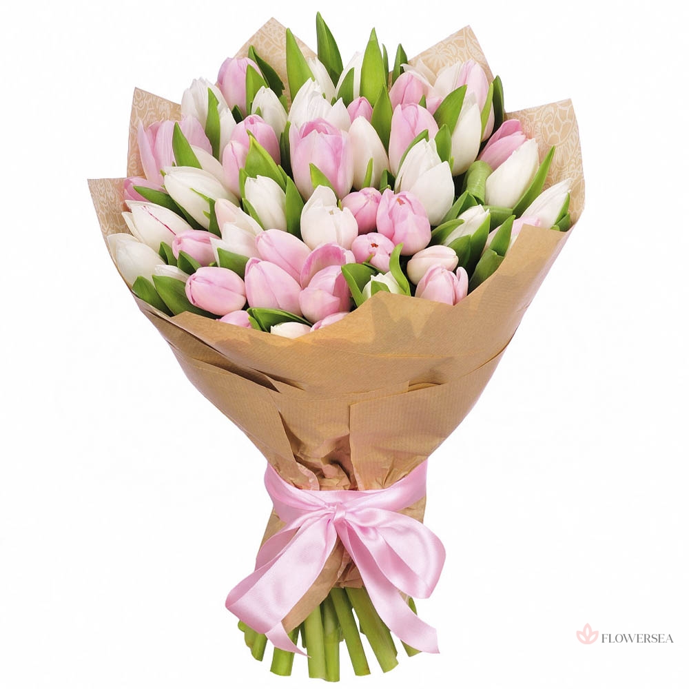 49 ������ ��������� � ��������