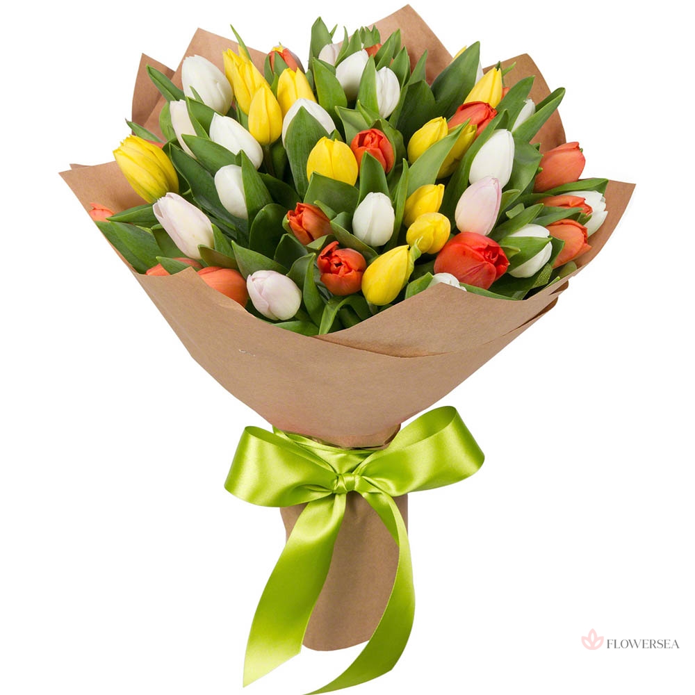 49 ��������� � ������