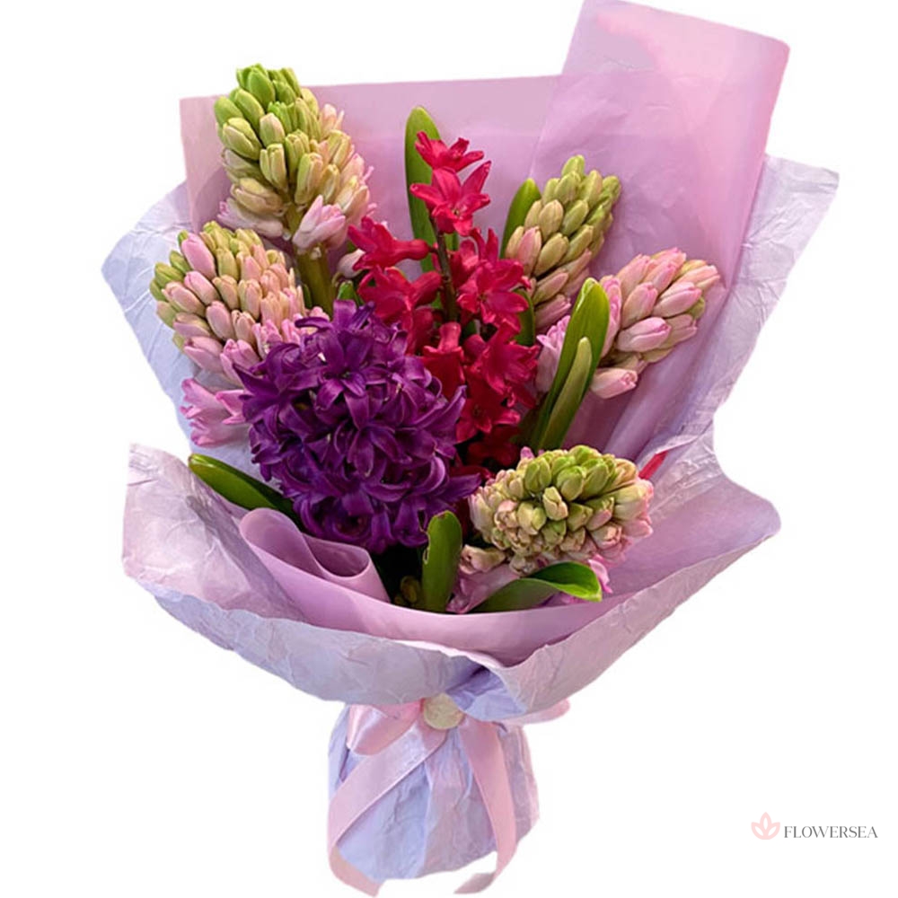 7 ��������� �������