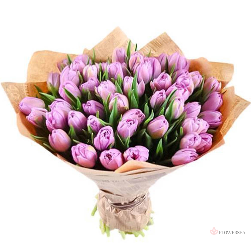 31 ���������� �������