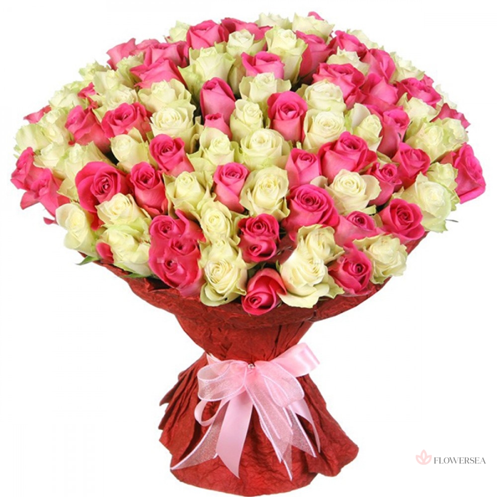 101 ������� � ��������