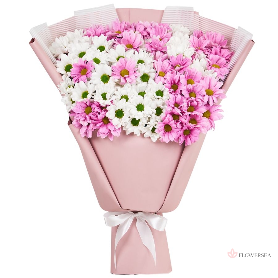 11 ��������� � ��������