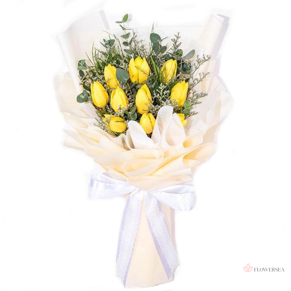 ����� ������ ���������