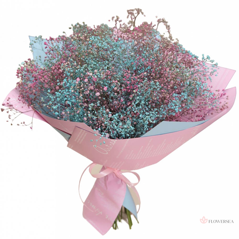 9 ������ ��������