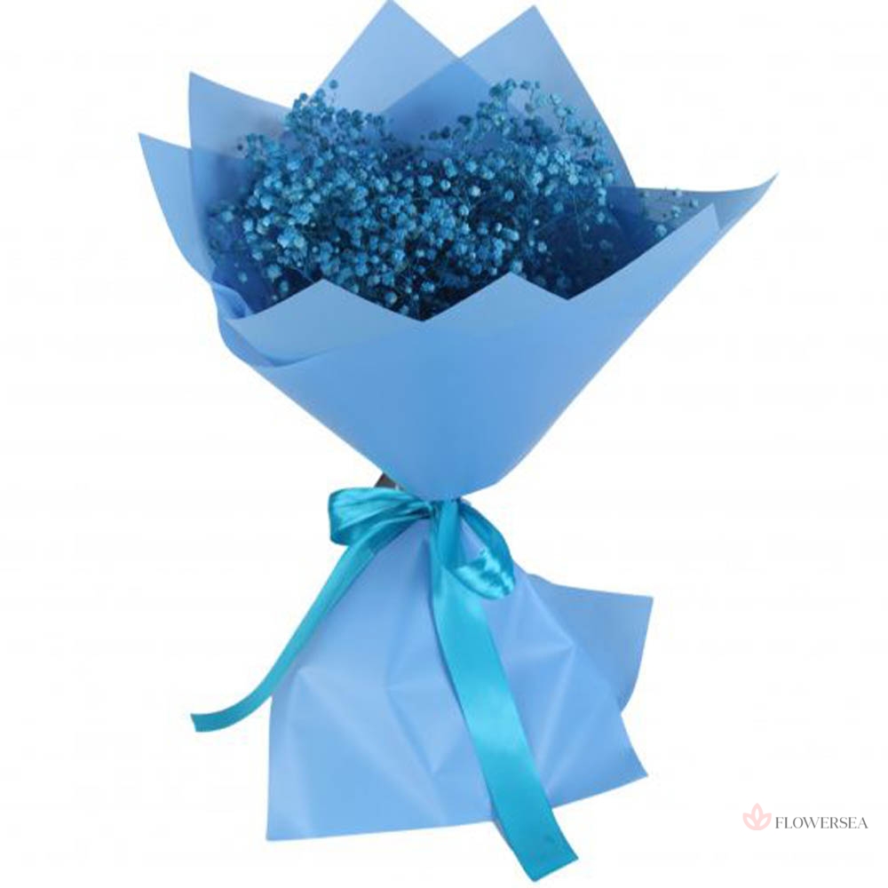 5 ��������� �������