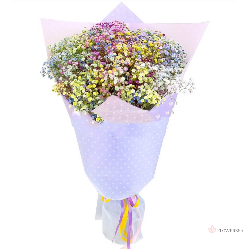 5 �������� �������