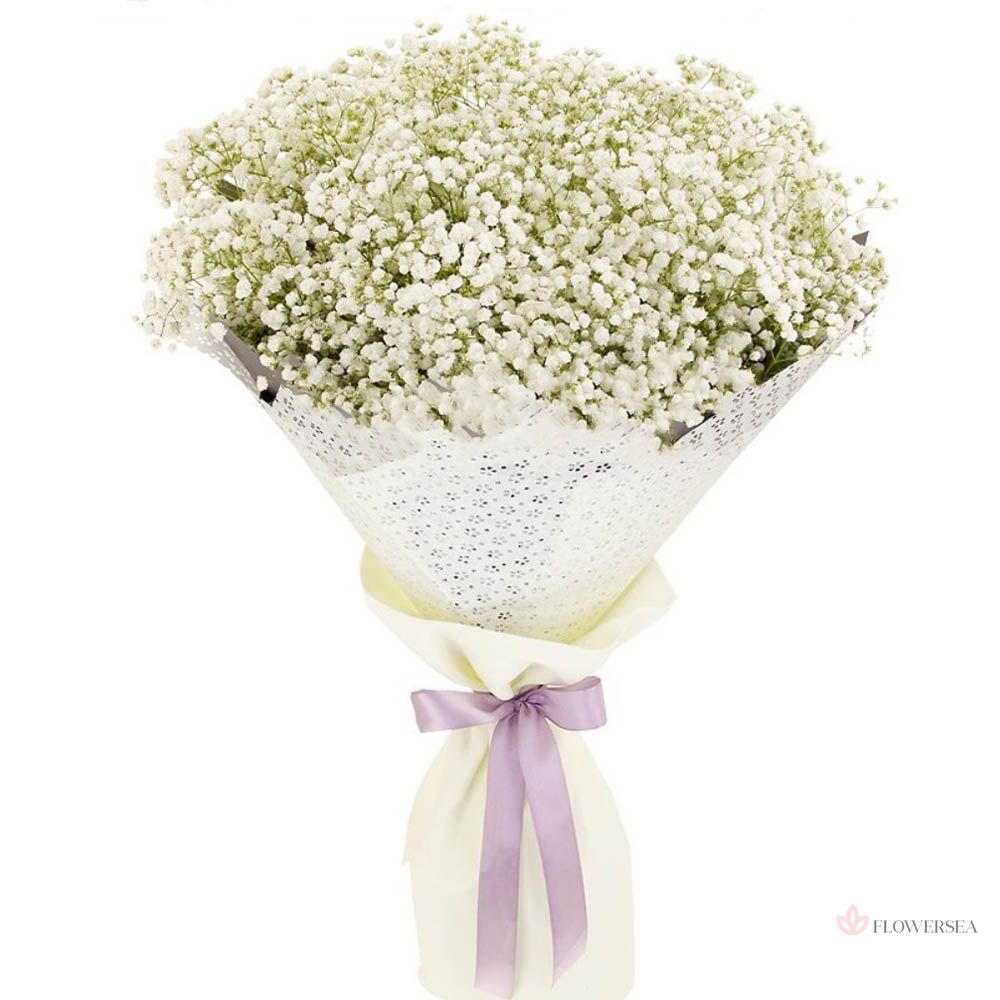 9  ���� �������