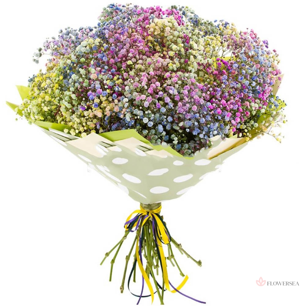 15 �������������� �������