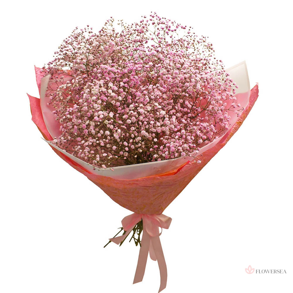 9 ������� �������