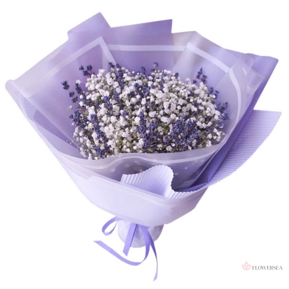 5 ������� � ��������