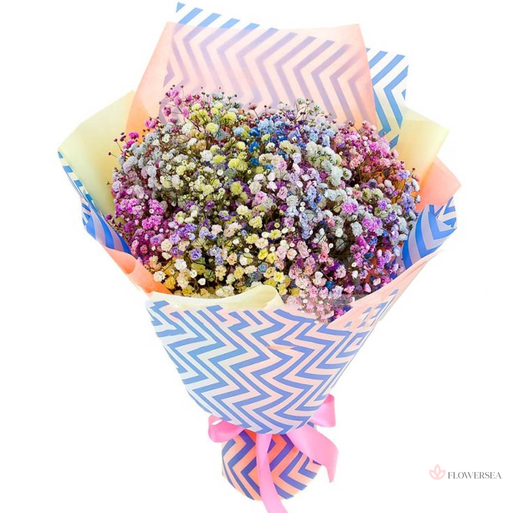 9 ��������� �������