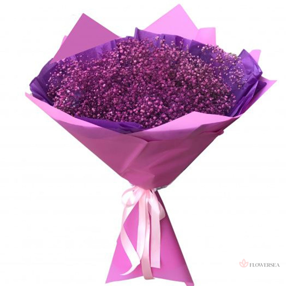 5 ��������� �������