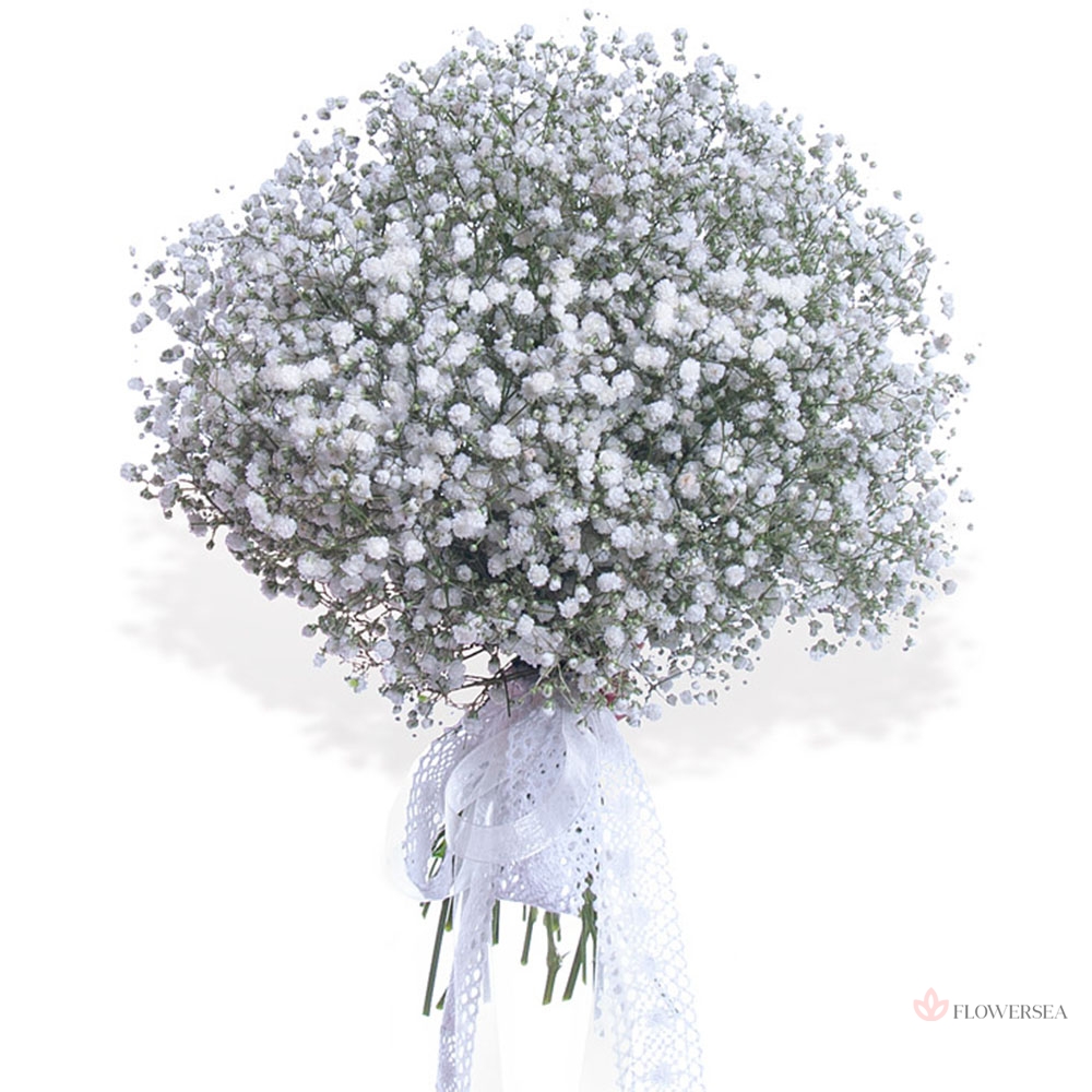 15 ���� �������