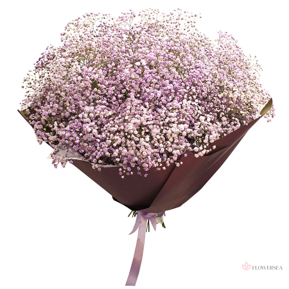 19 �������