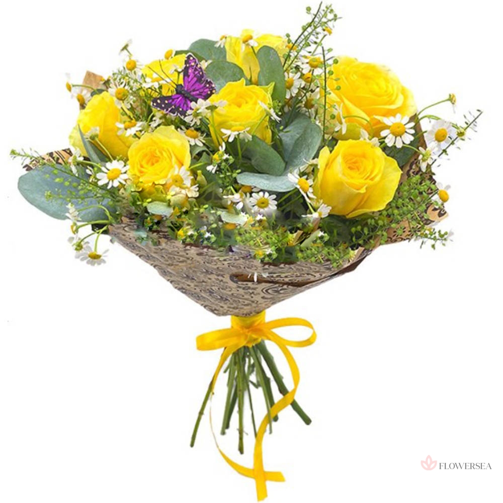 ����� ������ ���