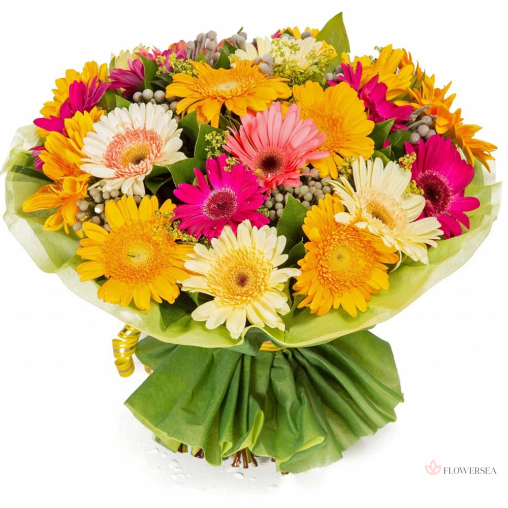 ����� ��������� ������