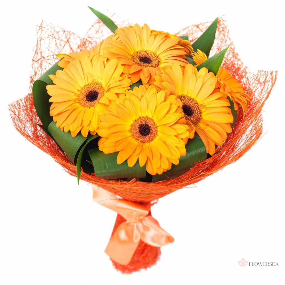 ����� ��������� ������