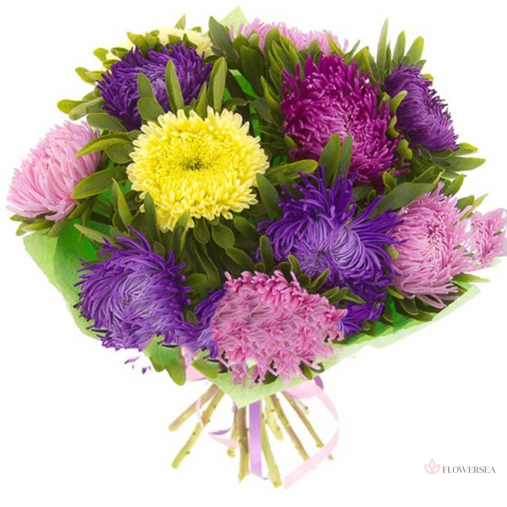 ����� �� 11 ����