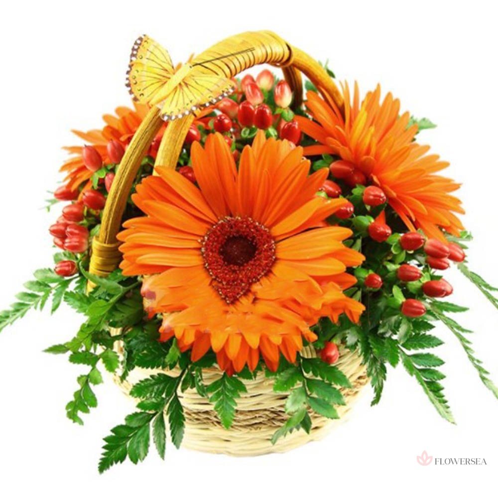 �������� � ���������