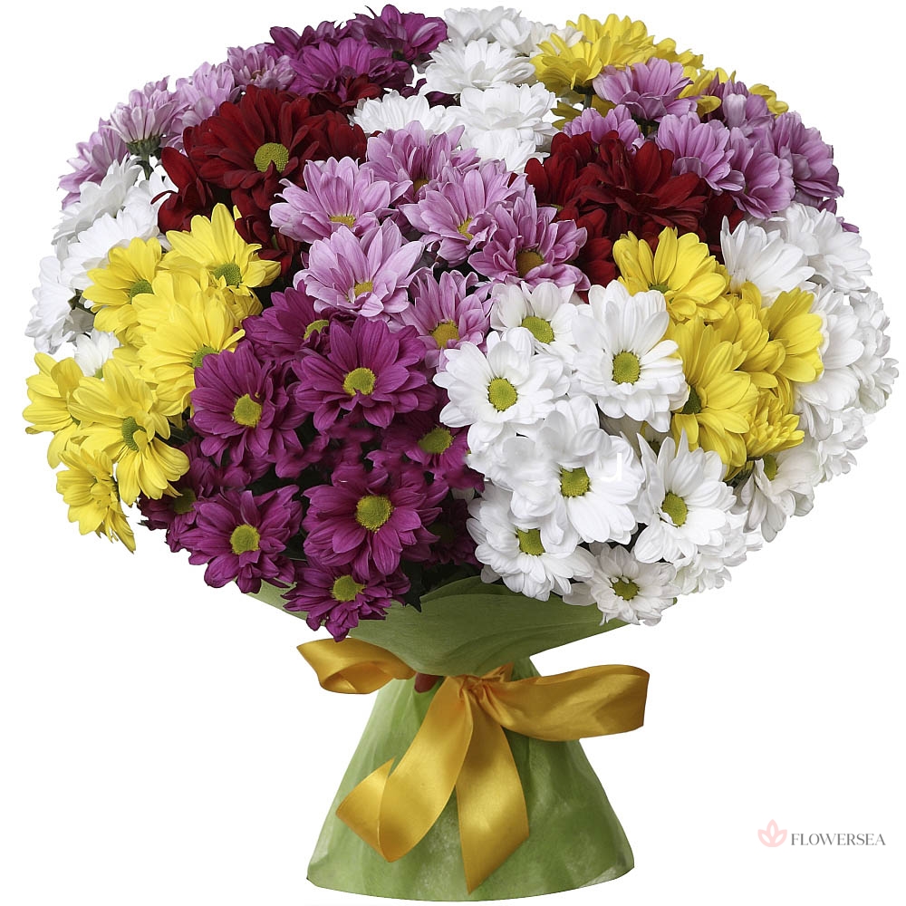 ����� �� 15 ���������