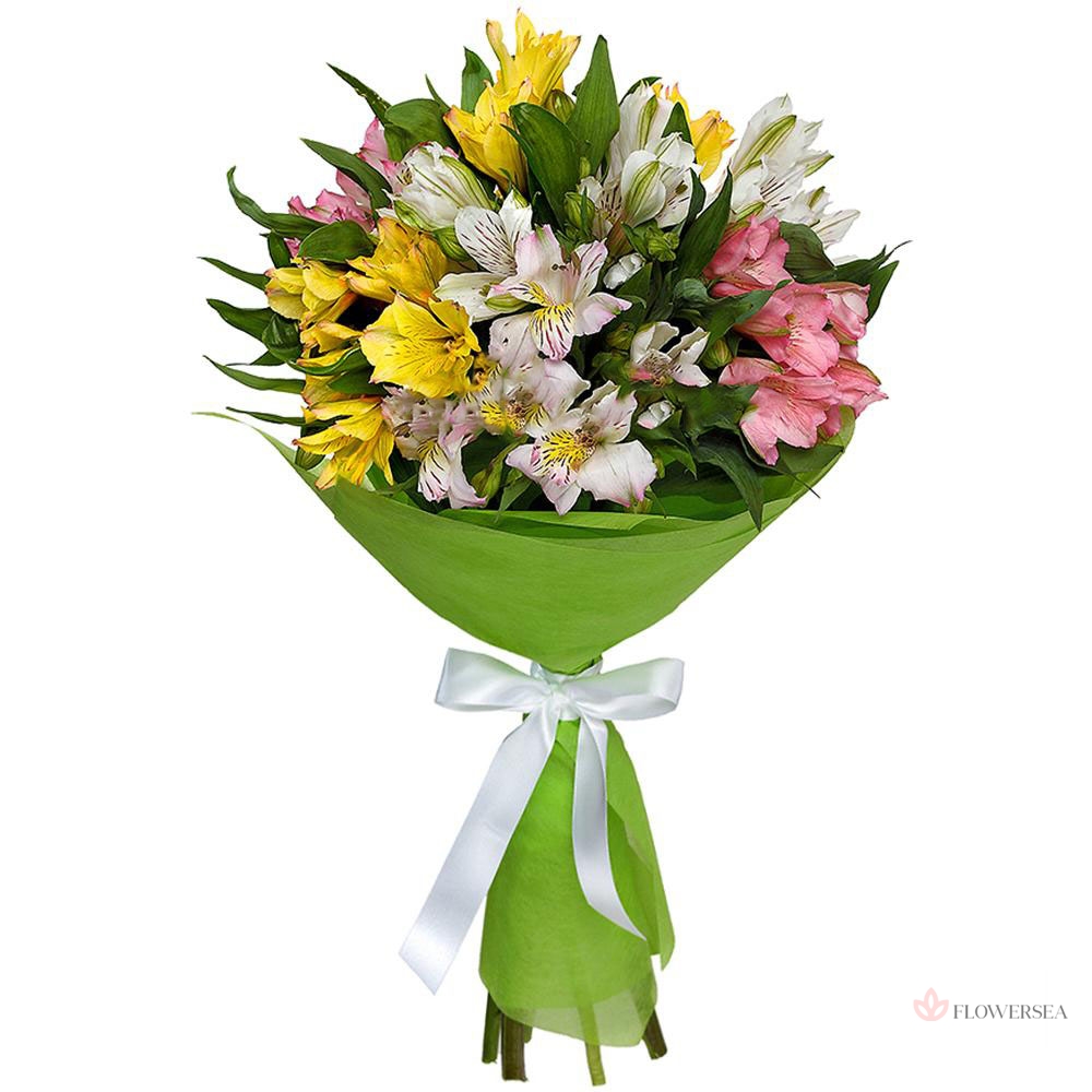 ����� �� 5 ������������