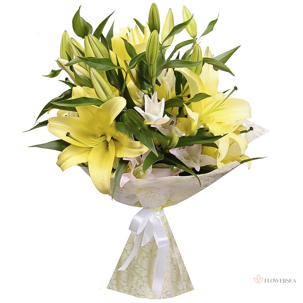 ����� �� 5 �����