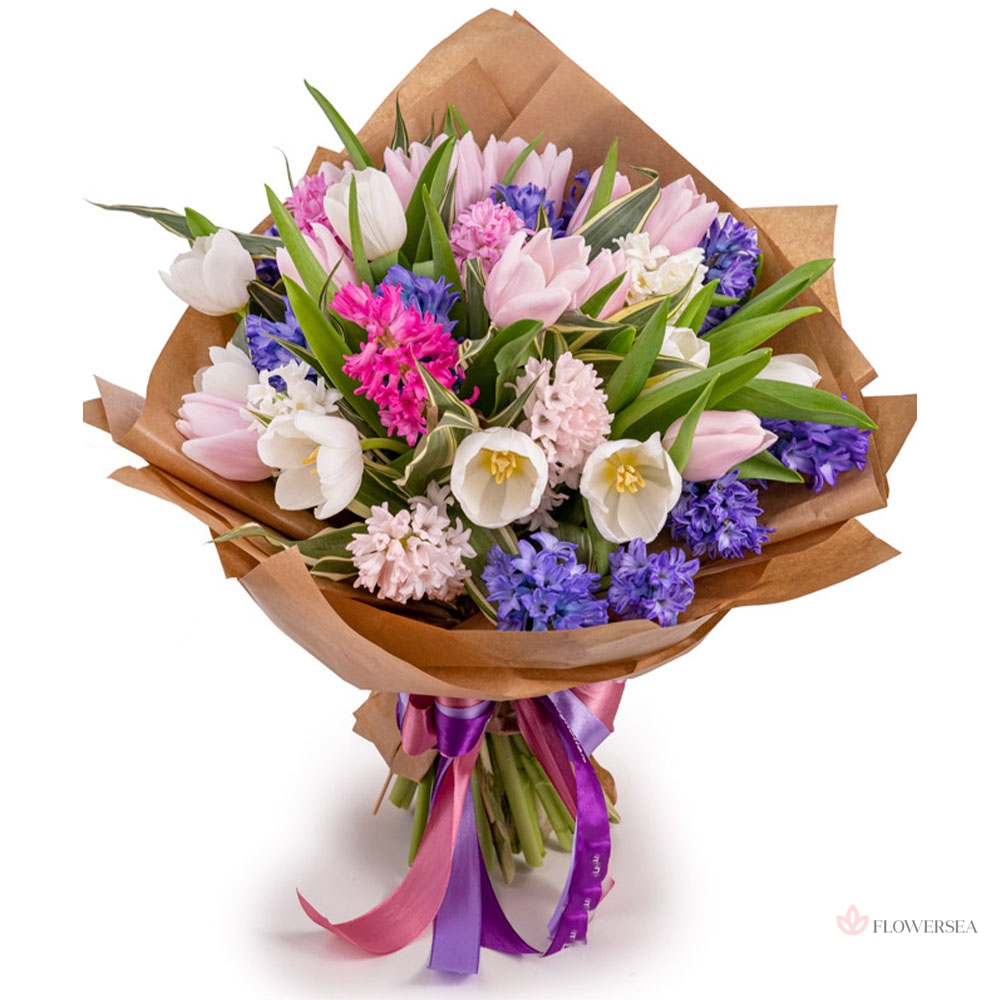 �������� �����