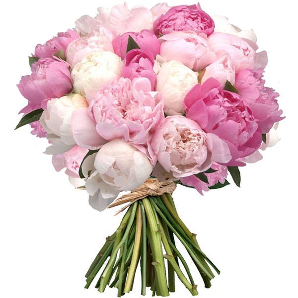 ������� �����������