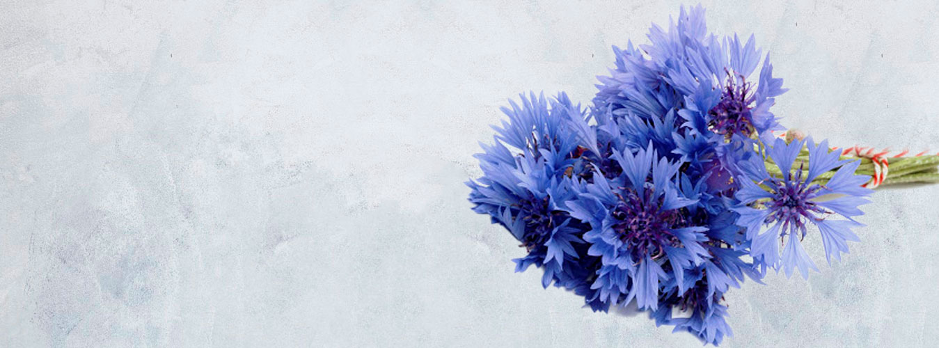 �������� ������ FlowerSea