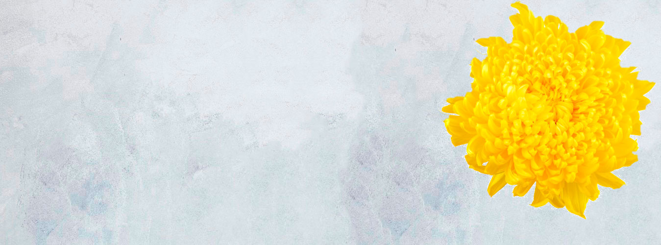 �������� ������ FlowerSea