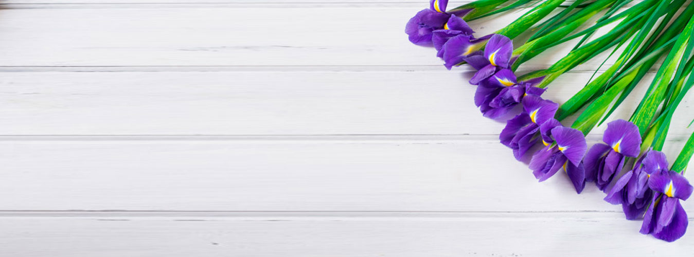 �������� ������ FlowerSea