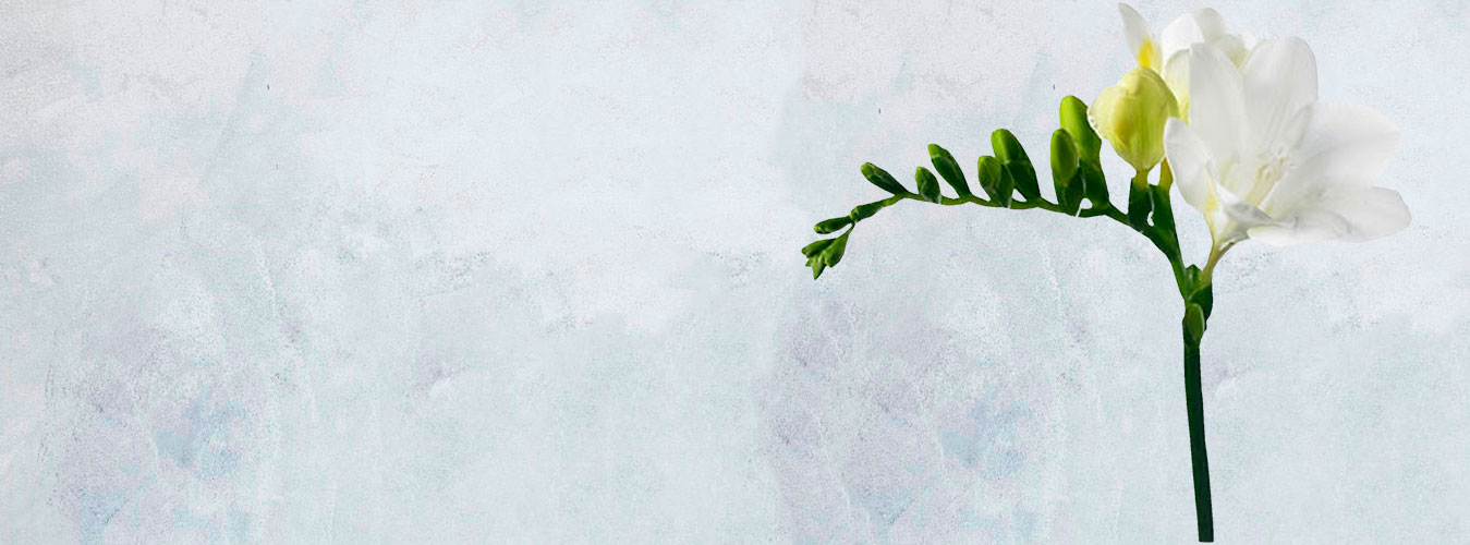 �������� ������ FlowerSea