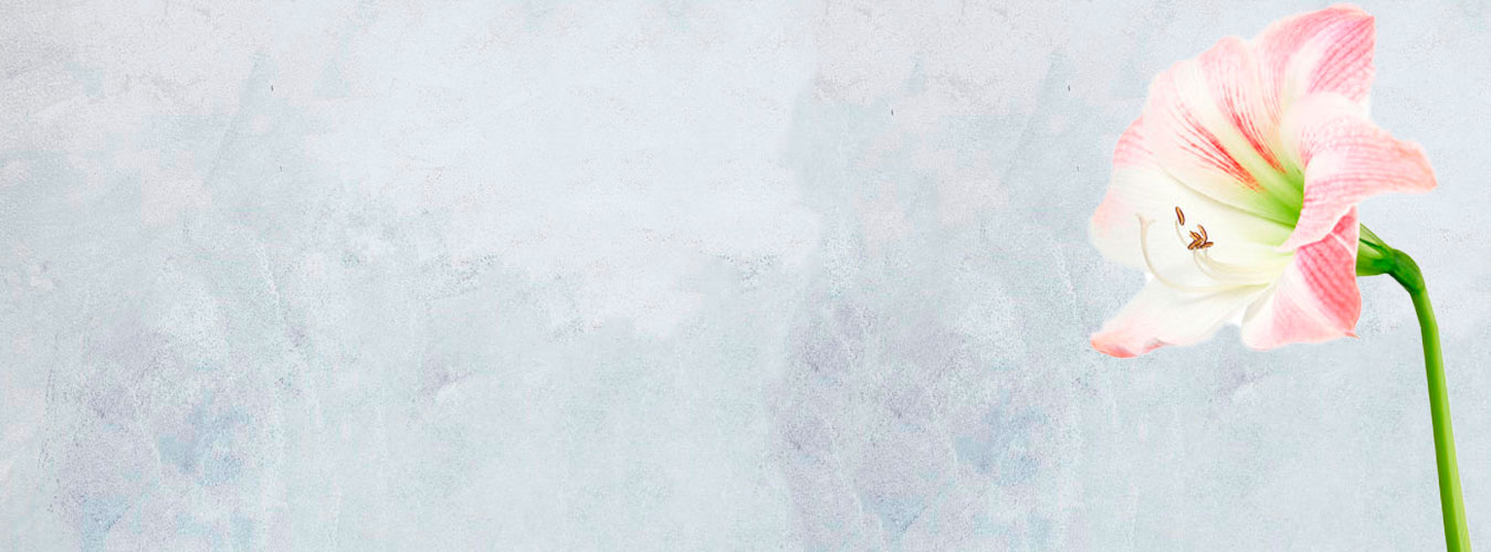 �������� ������ FlowerSea